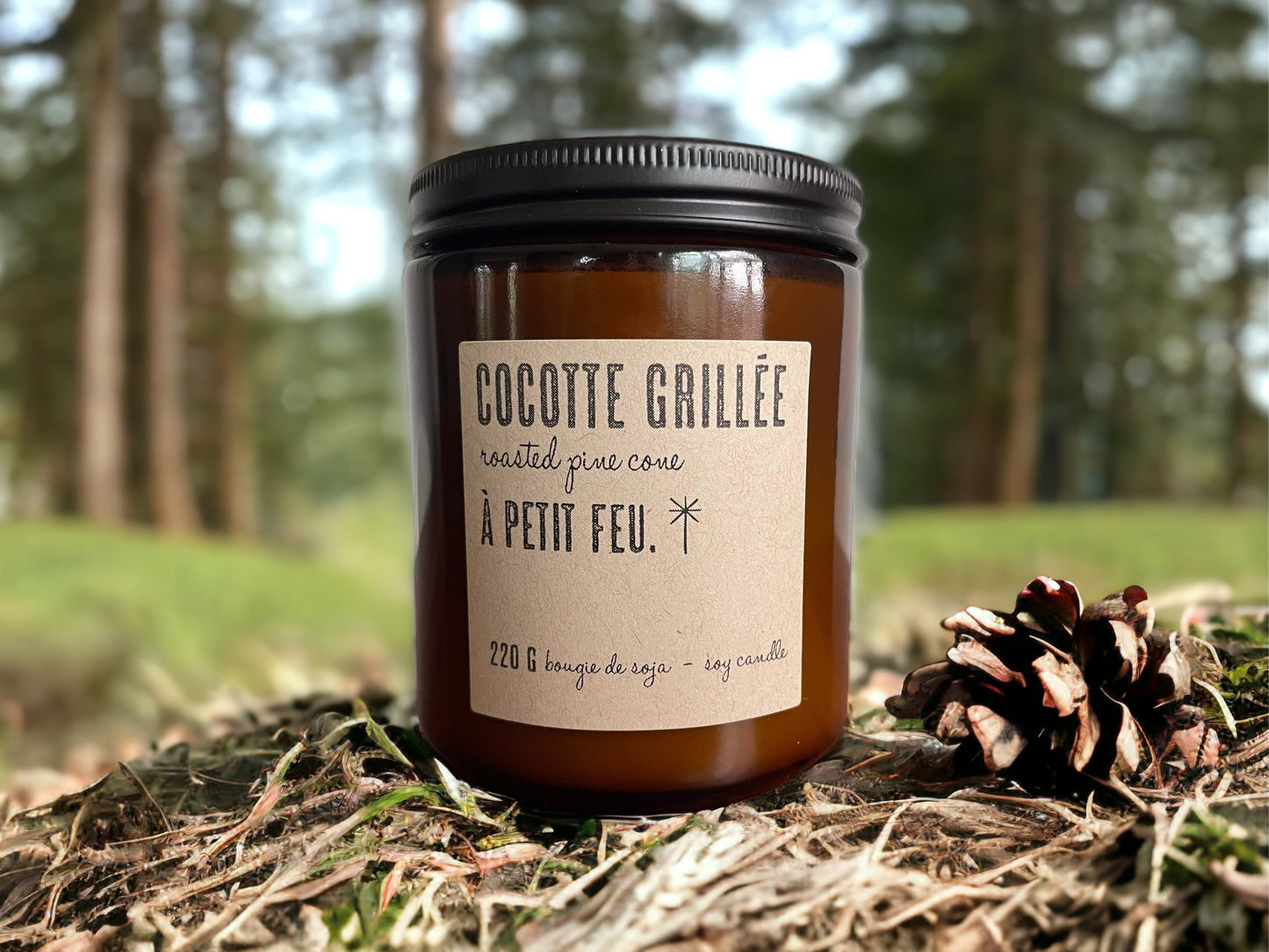 COCOTTE GRILLÉE