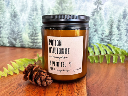 AUTUMN POTION.