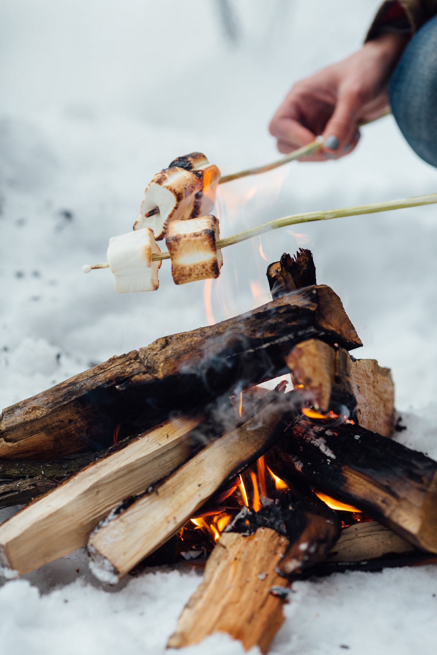 GUIMAUVE GRILLÉE.