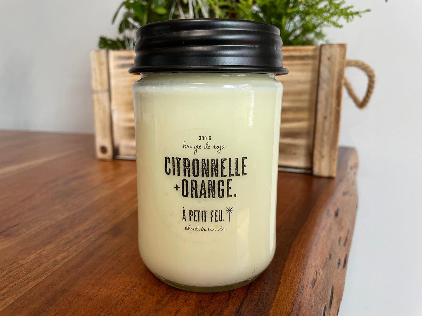 CITRONNELLE + ORANGE.