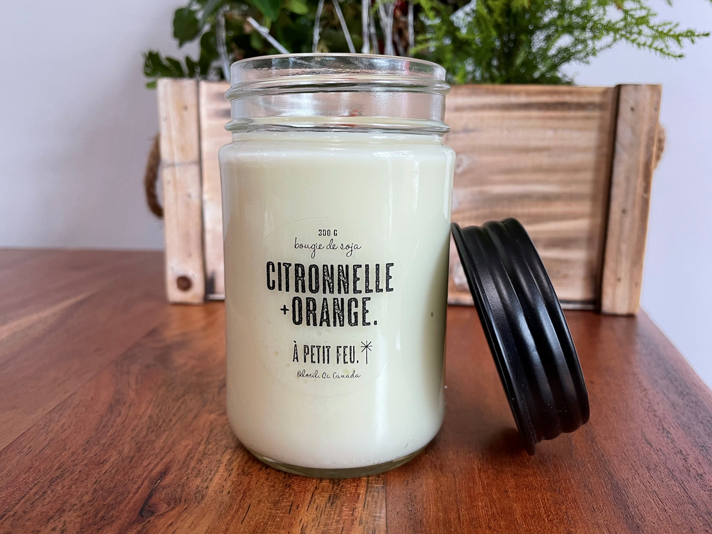 CITRONELLA + ORANGE.